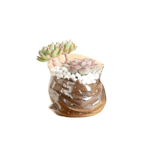 Multiplepurposes.jpg GLASS BOWL