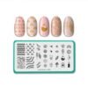 MANIOLOGY NAIL STAMPING PLATE