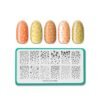MANIOLOGY NAIL STAMPING PLATE